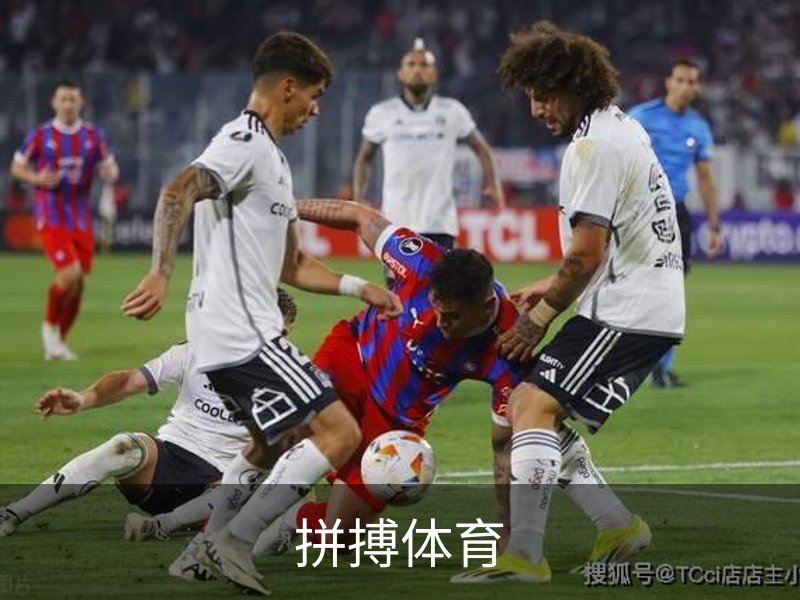 了解拼搏体育
